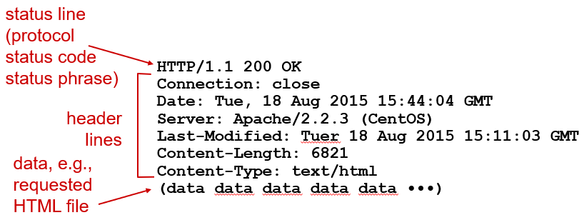 image-20231228172530367