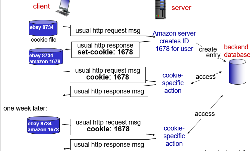 image-20231228190426688